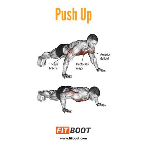 Push Ups Muscles Worked, How To Do & Variations