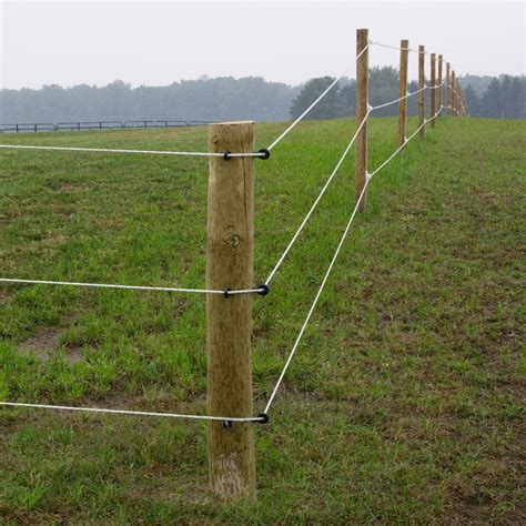 temporary fence ideas for horses - Lita Mcinnis