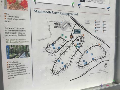 Lake Mary Campground Mammoth Map