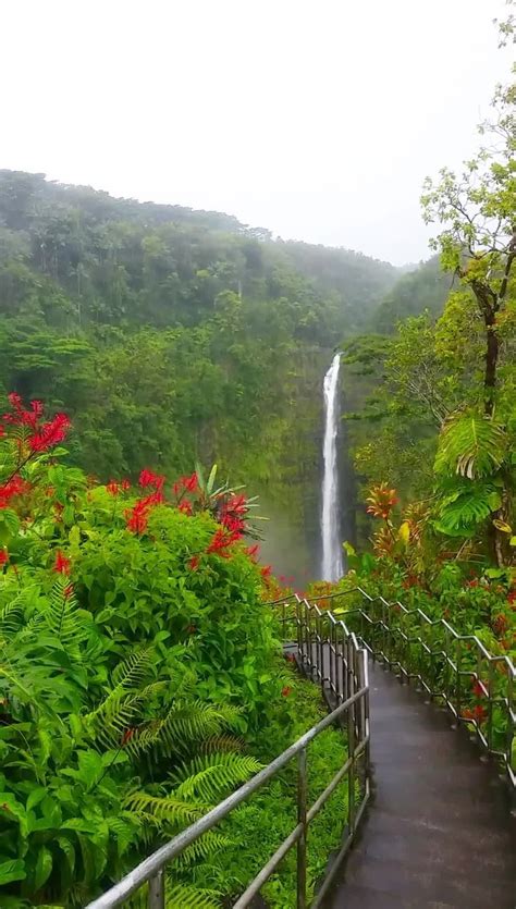 Best way to hike in Akaka Falls State Park: Hike the circle route loop ...