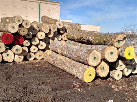 Minneapolis Lumber Yard | Live Edge Slabs & Dimensional Lumber