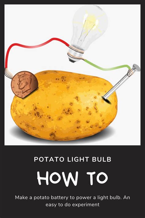 A Guide to the Potato Light Bulb Experiment | 1, 2 Potato | Potato ...