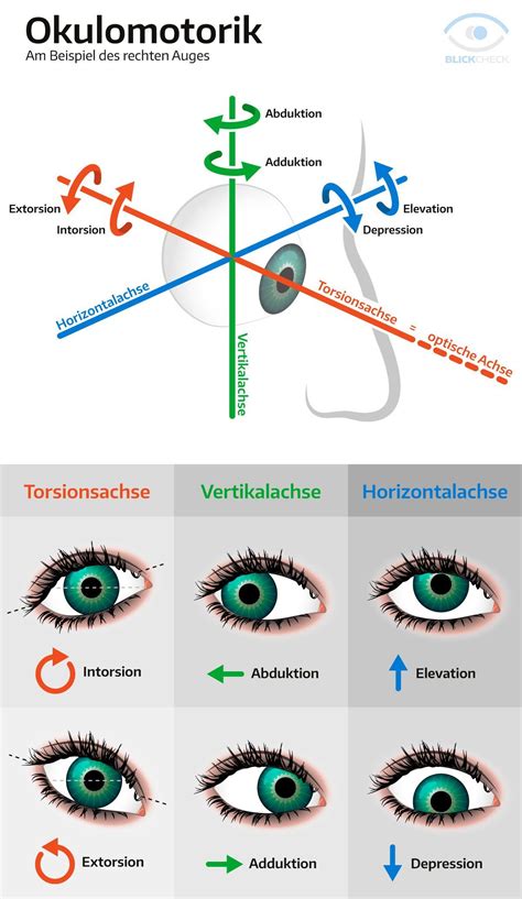 Pin en kosmetik-zeichnen