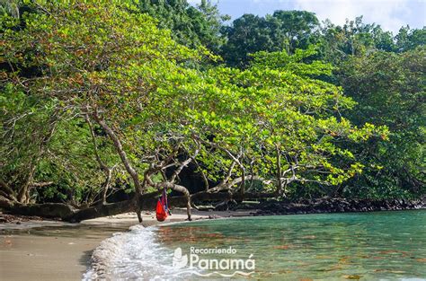 3 Paradisiacal Beaches in Colón · Recorriendo Panamá