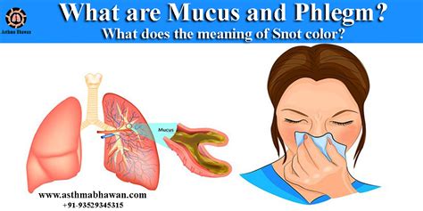 Mucus