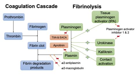 Antifibrinolytics - OpenAnesthesia