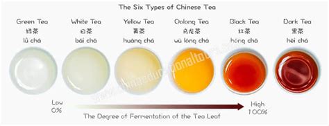 6 Types of Chinese Tea: Facts, Benefits and the most Famous Brands