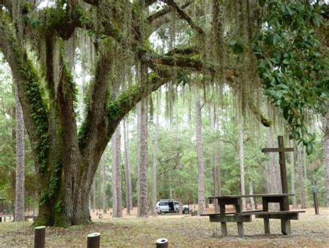 Withlacoochee State Forest Campgrounds | Discover Crystal River