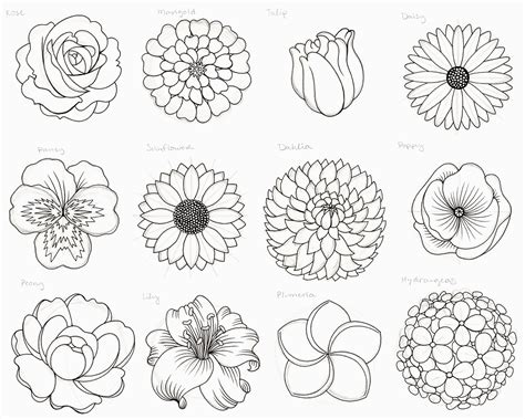 How To Draw A Flower