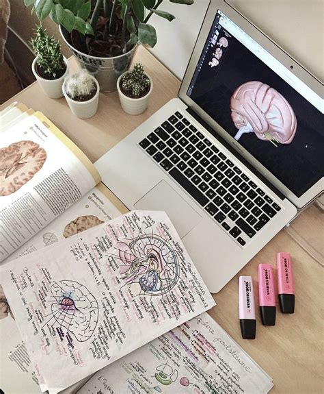 itstaylormichelle . | Med school motivation, Study organization ...