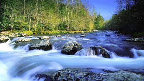 Free photo: Fast-Flowing River - Creek, Nature, River - Free Download ...