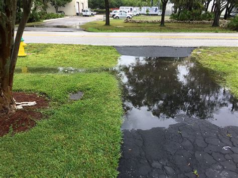 well - Front yard flooding, drainage help needed - Home Improvement ...