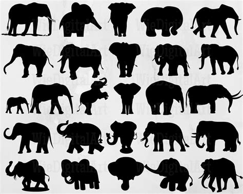 Elephant Svg Elephant Silhouette Elephant Svg Bundle - Etsy