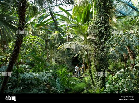 Palmengarten, botanical garden in Frankfurt, Tropicarium and skyline of ...