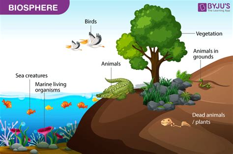 Fundamentals of Earth’s Sphere - Interaction Between Spheres