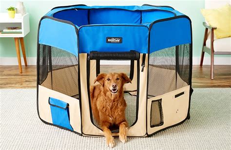 Dog Enclosures: When to Use a Dog Pen Versus a Dog Crate | BeChewy