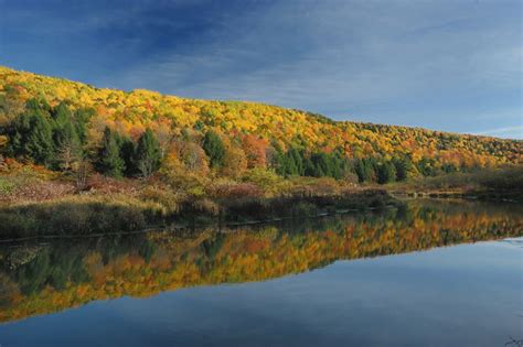 Fall Foliage in the Finger Lakes | Finger Lakes Region | Fall foliage ...