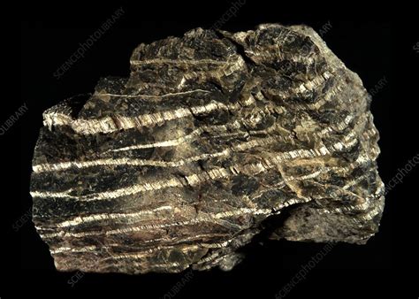 Serpentinite metamorphic rock - Stock Image - E417/0301 - Science Photo ...