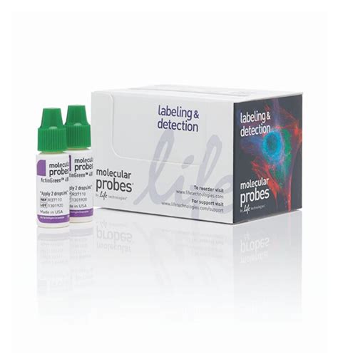 Invitrogen Molecular Probes ActinGreen 488 ReadyProbes Reagent 1 kit ...