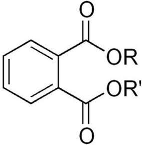 The Dangers of Phthalates | Learn All About This Toxic Chemical