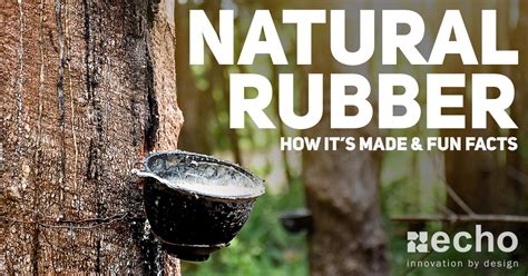 Natural Rubber: Material Basics, History, and Fun Facts - Echo Supply