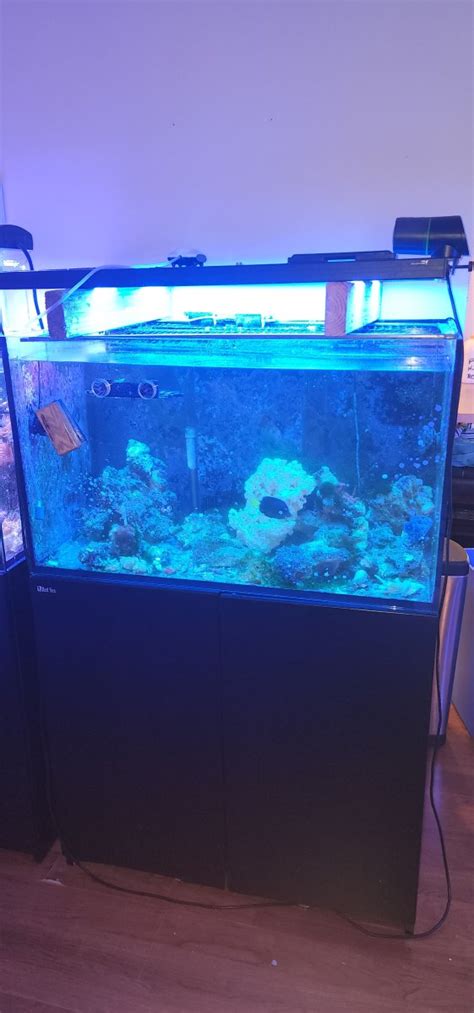 Pennsylvania - Aquariums - Dry Goods - Red Sea Reefer 250 for sale ...