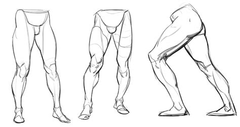 ArtStation - How to TB draw legs ( tips) | Human anatomy drawing ...