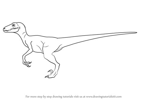 Jurassic Park Velociraptor Drawing