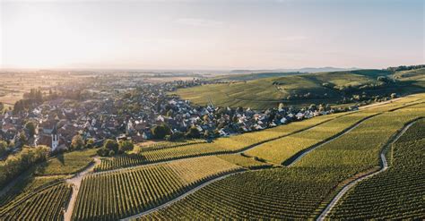 Your 2024 guide to Baden Wine Route | Winetourism.com