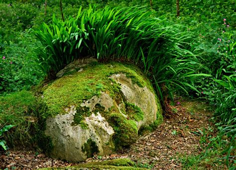 The Lost Gardens of Heligan in Cornwall, England | Architecture & Design