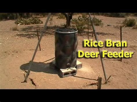 Rice Bran Deer Feeder Design (not good if you have hogs) - YouTube