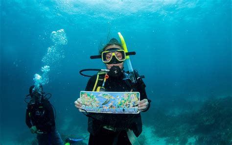 Visiting the Great Barrier Reef | School of Business