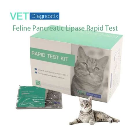 Feline Pancreatic Lipase Rapid Test Amylase and Lipase Function Test ...