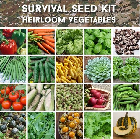 Survival Organic Heirloom Vegetable Seed Personal Collection 20 ...