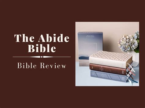 The Abide Bible: Book Review