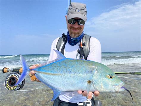 Bluefin trevally - FlyFishing Maldives