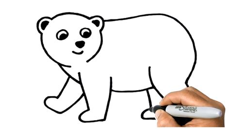 How to DRAW A POLAR BEAR Step by Step | Polar Bear Easy Drawing Lesson ...