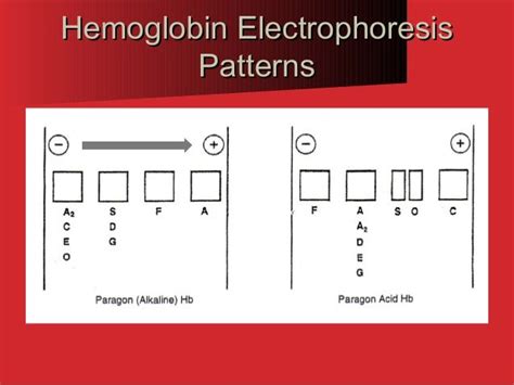 Hemoglobin Electrophoresis (Biochemistry)