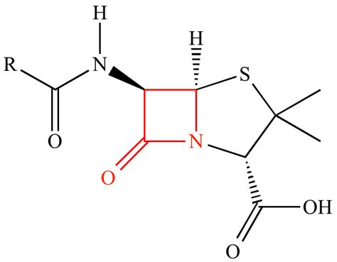 Illustrated Glossary of Organic Chemistry - Beta-lactam