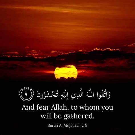 Fear Allah 💓 | Quran quotes verses, Islamic quotes, Quran verses