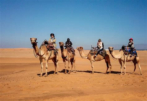 Swakopmund Activities | Namibia Tours & Safaris