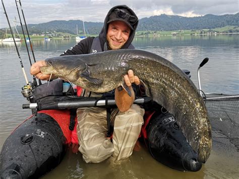 Wels 100 cm - Sihlsee-Fisch, Fischereibedarf und Fischen im Sihlsee