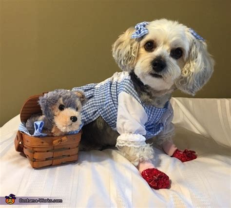 Dorothy & Toto Dog Costume