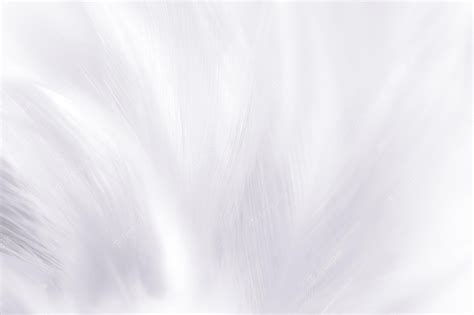 Premium Photo | Macro white feather,white feather texture background