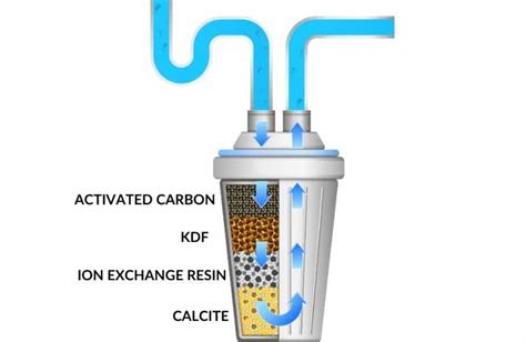 Purified vs Distilled Water: What's the Difference?