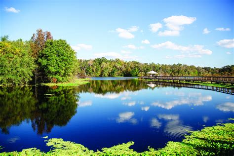 Alachua Sink at Paynes Prairie Preserve State Park | Florida Department ...