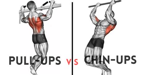 21 Best Chin-Up and Pull-Up Variations for a Bigger and Stronger Back