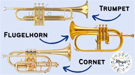 Trumpet VS. Cornet VS. Flugelhorn (A Complete Comparison) – Top Music Tips