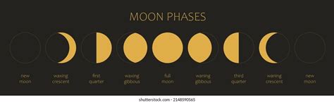 Moon Moon Phases On Black Background Stock Vector (Royalty Free ...