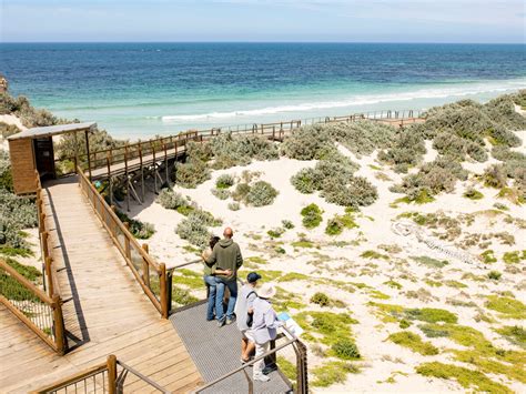 Seal Bay Beach Experience - Kangaroo Island Coachlines